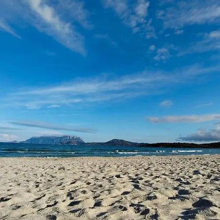 Lo Squalo Сasa de vacaciones Olbia