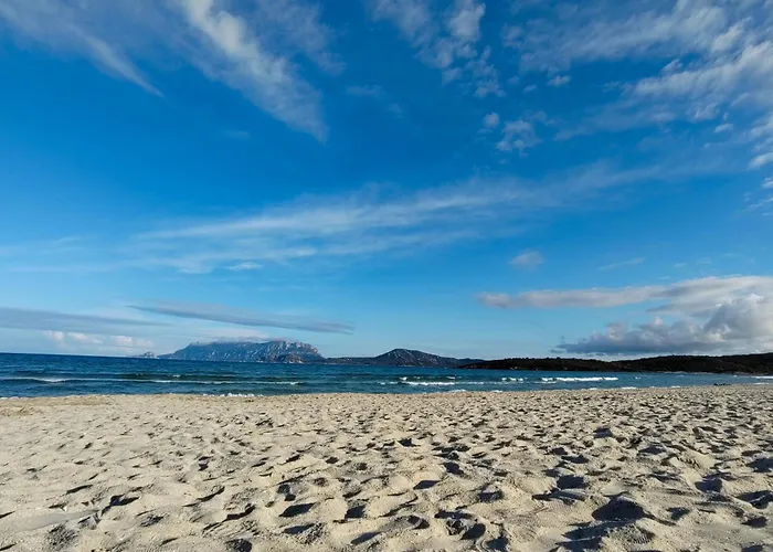 Lo Squalo Casa vacanze Olbia