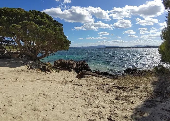 Lo Squalo Casa vacanze *